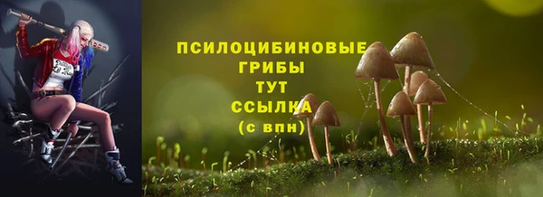ECSTASY Белокуриха