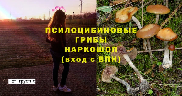 спайс Беломорск