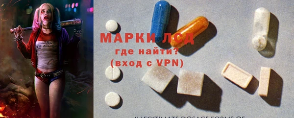 ECSTASY Белокуриха