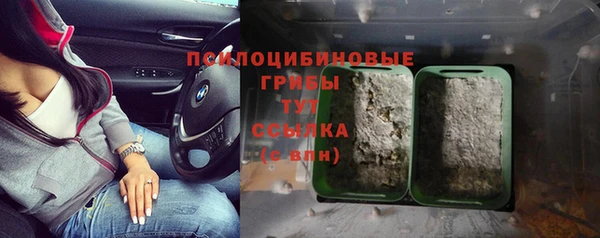спайс Беломорск